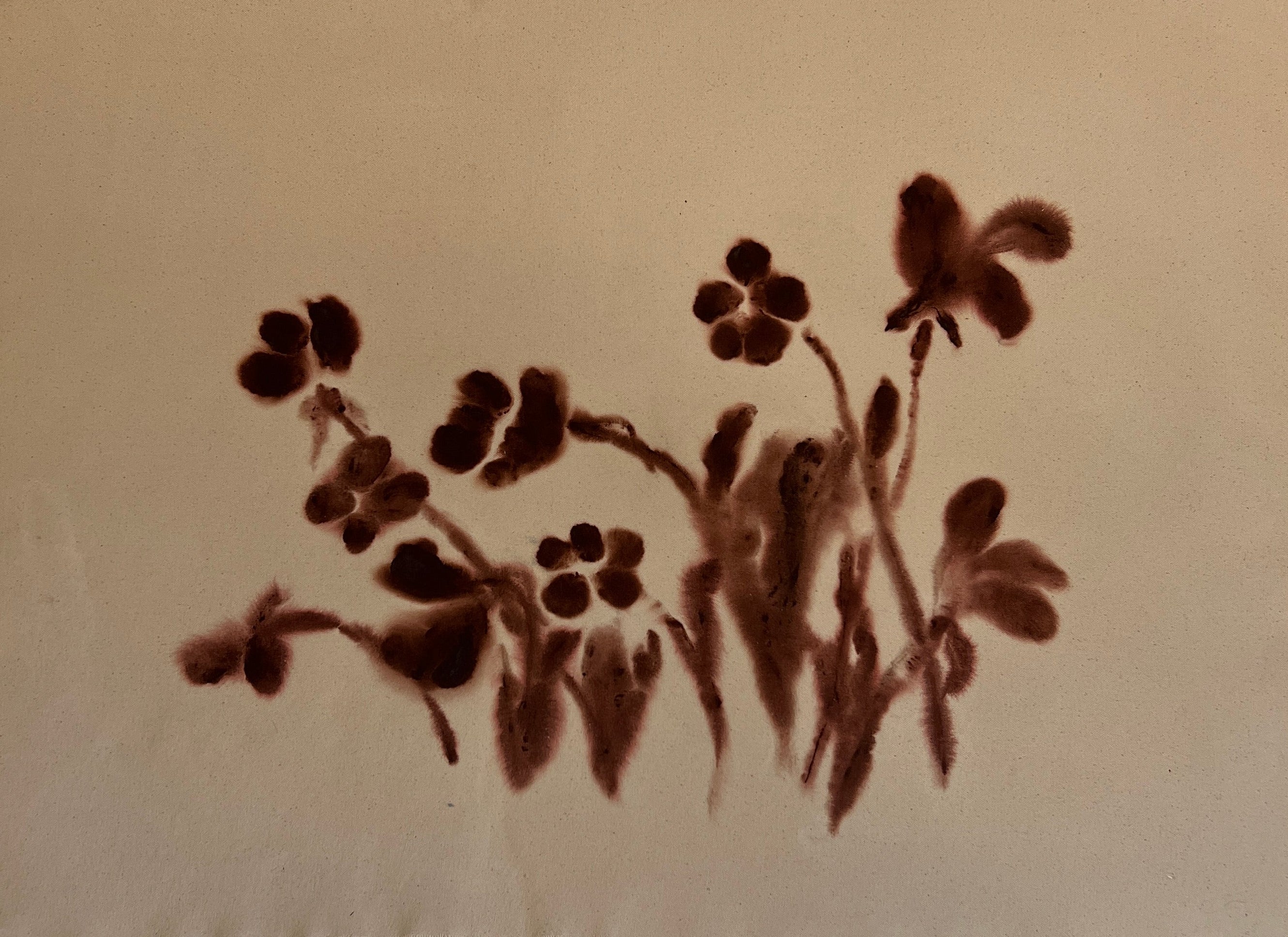 Poppies I