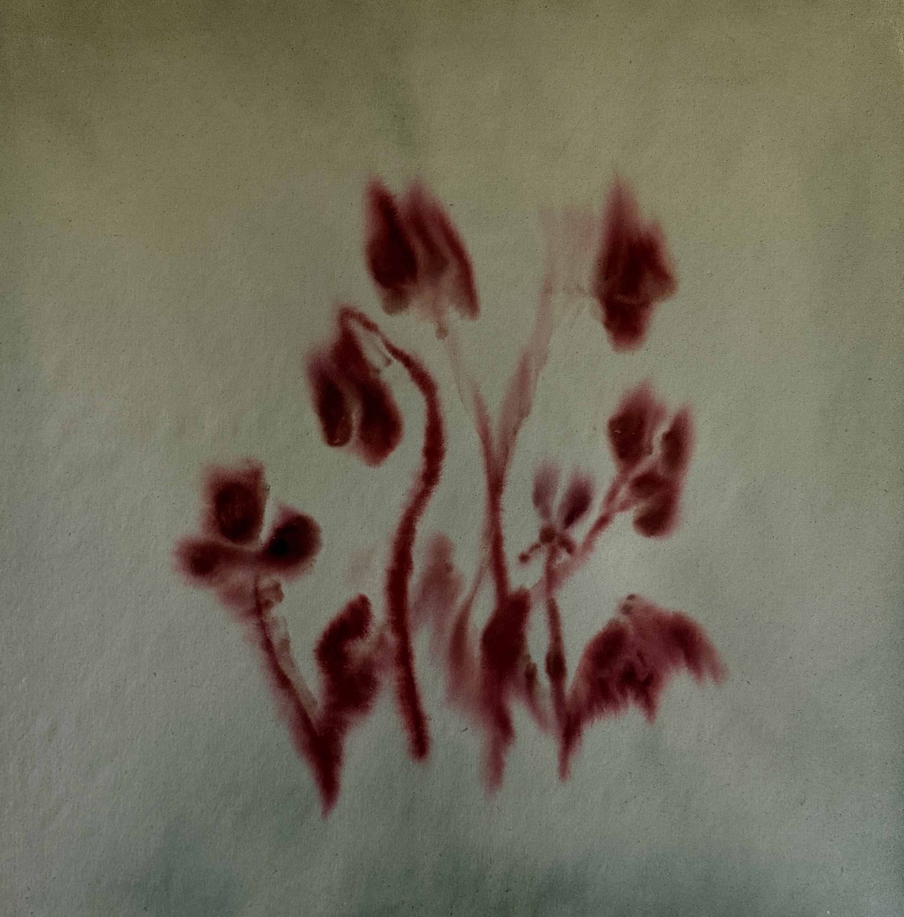 Whimsy II