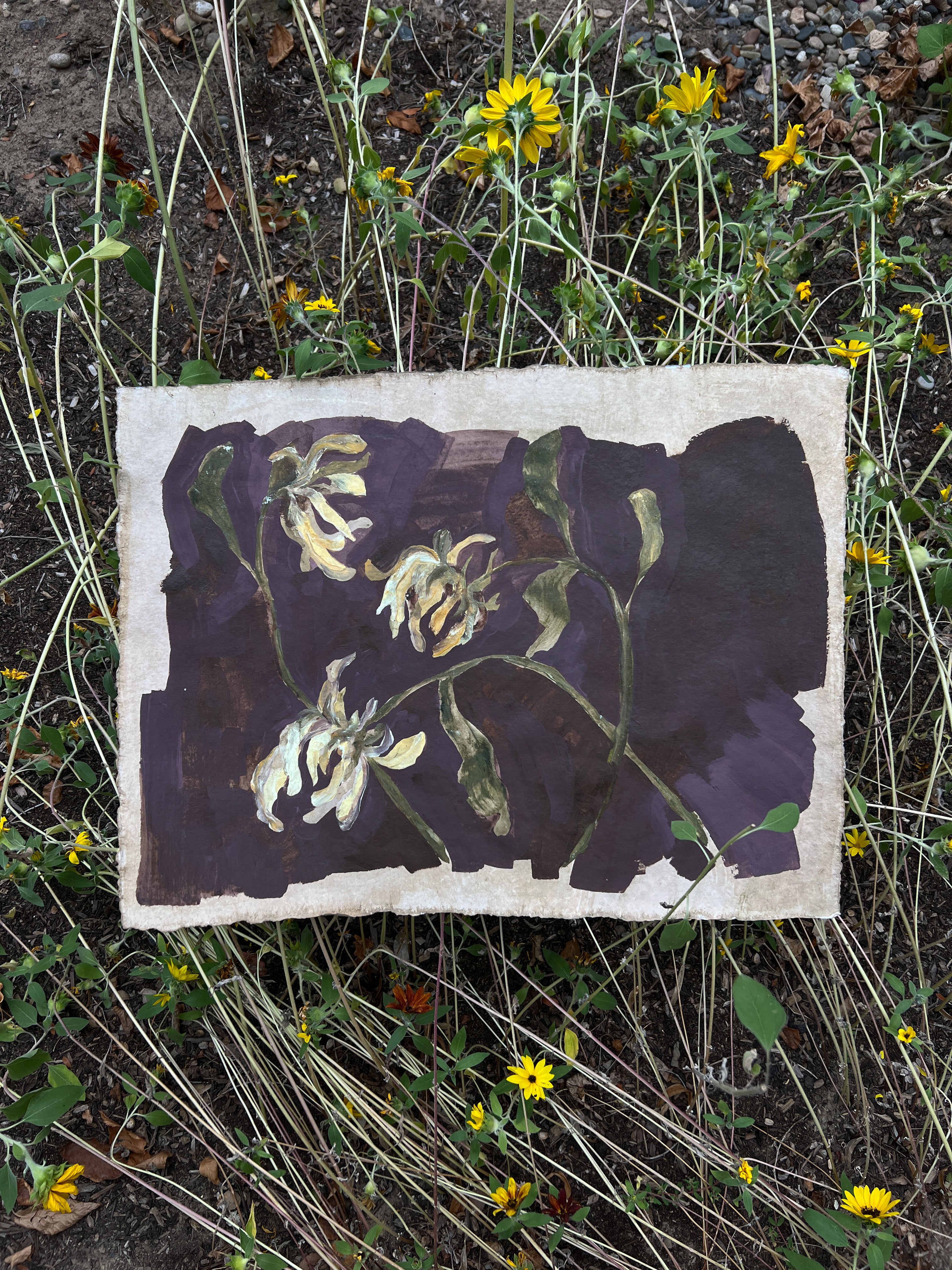Sunflowers I