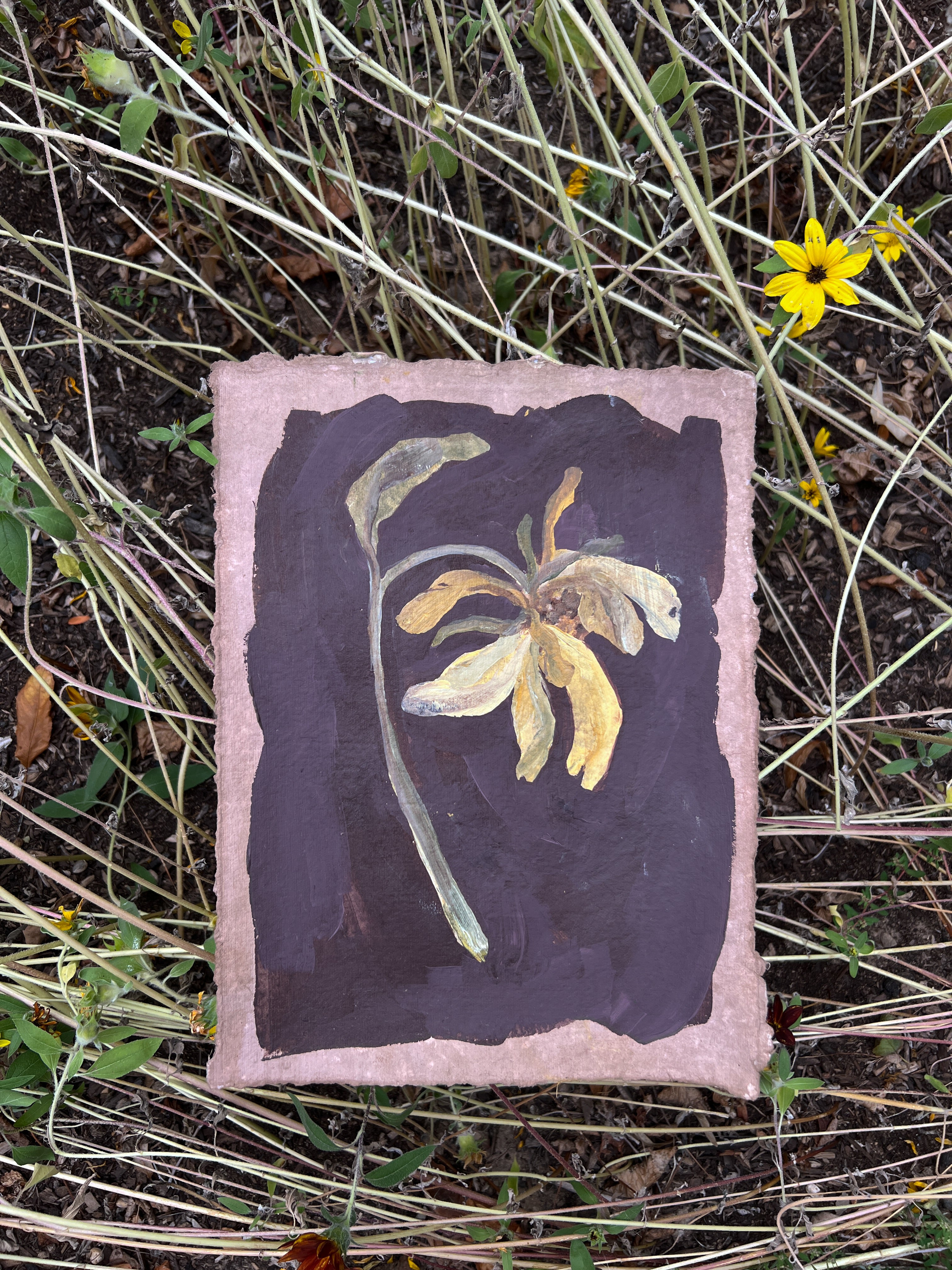 Sunflowers V