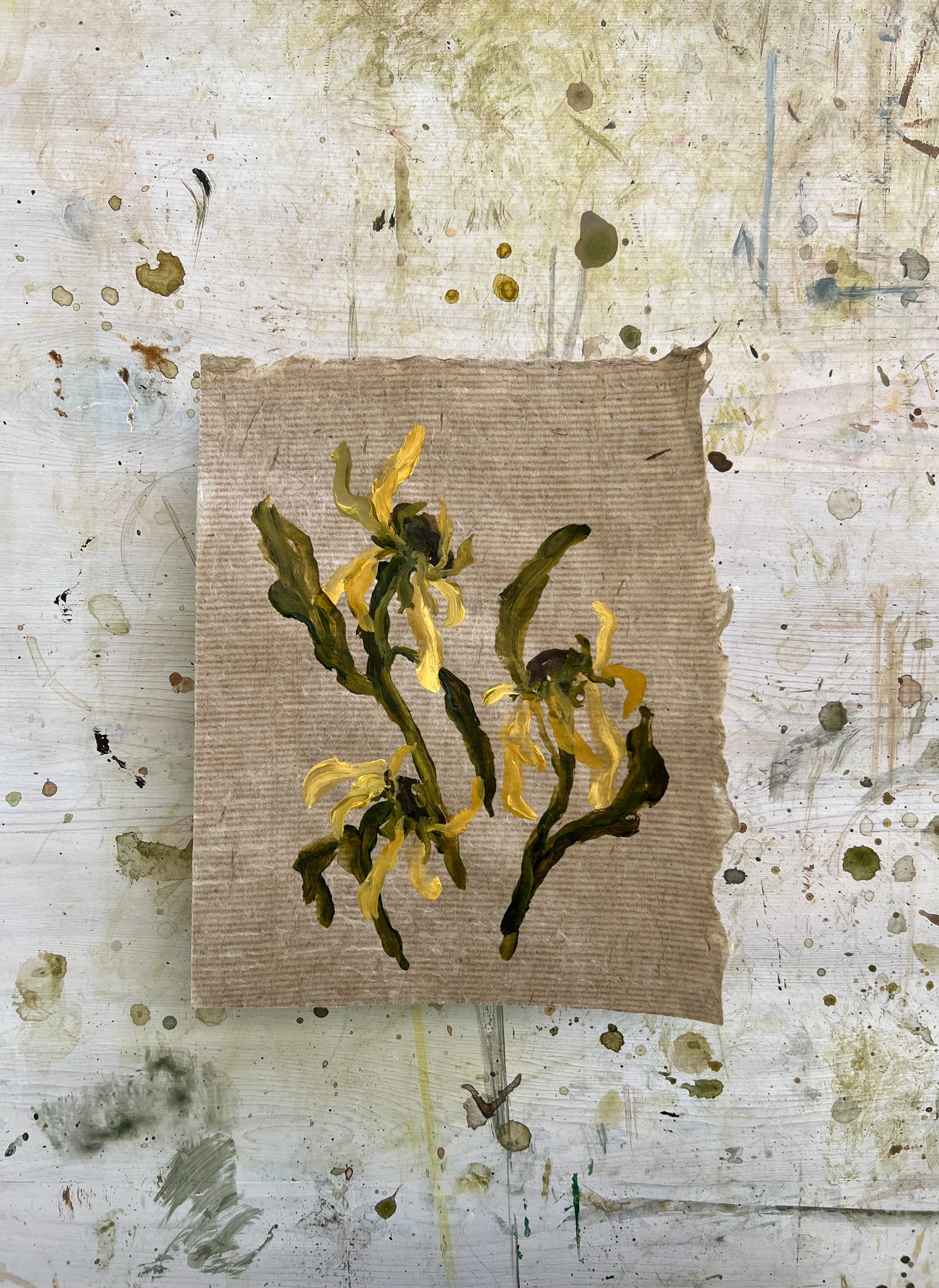Blooms I