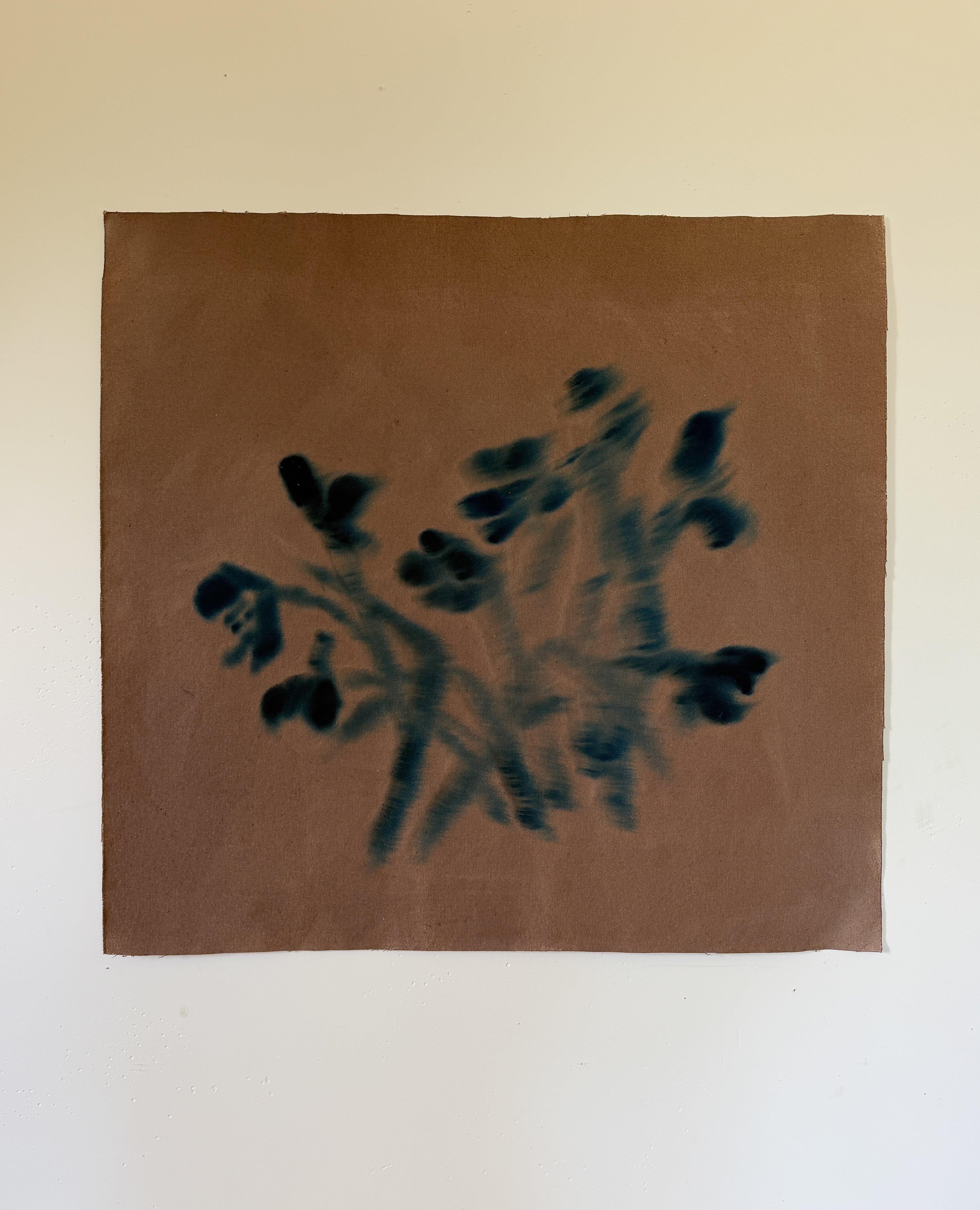 Whimsy III