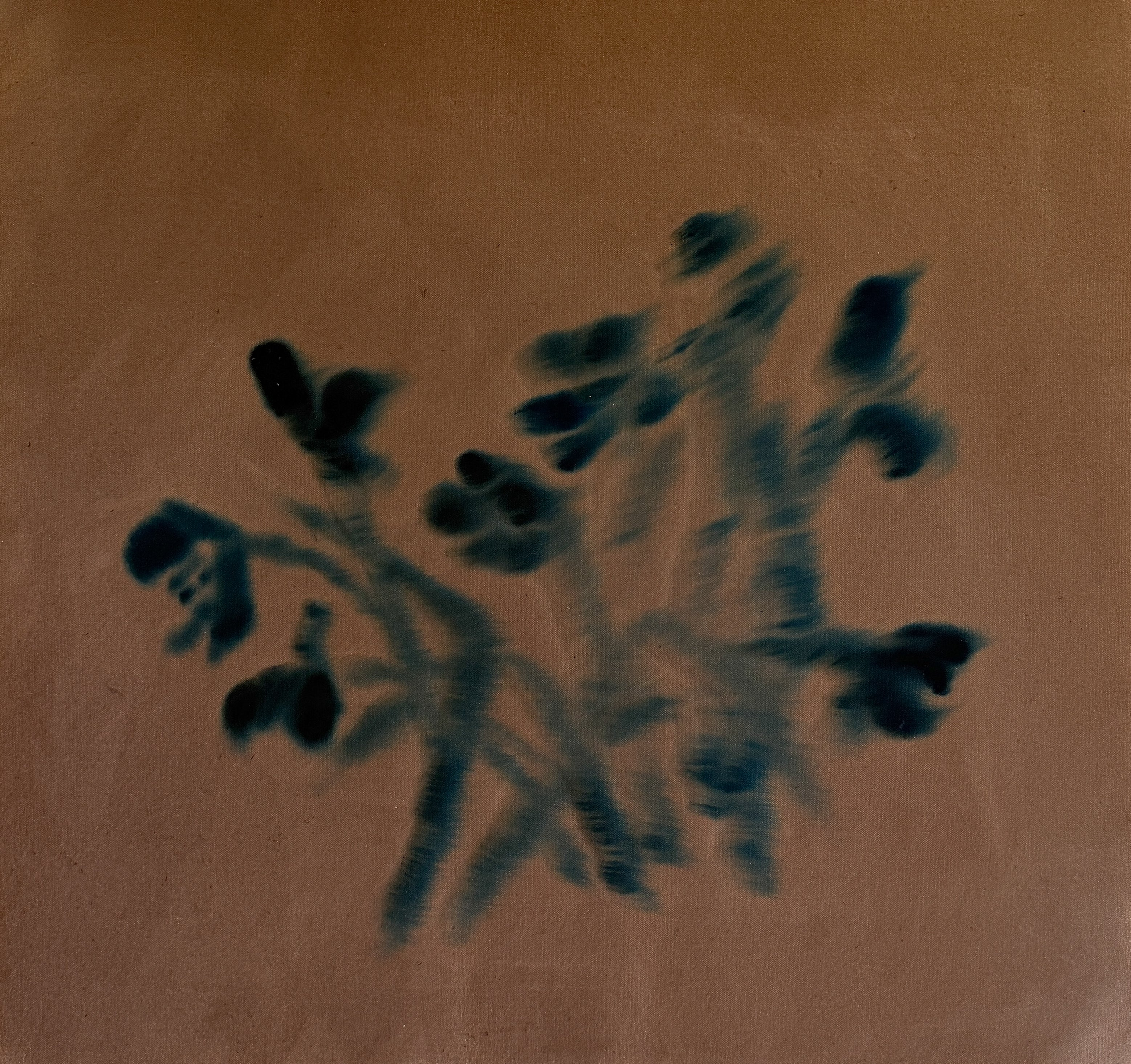 Whimsy III